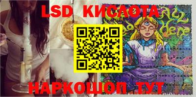 ГАЛЛЮЦИНОГЕННЫЕ ГРИБЫ Гусев