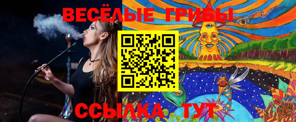как найти закладки  Псилоцибиновые грибы Psilocybine cubensis  Вход с VPN  Миасс 